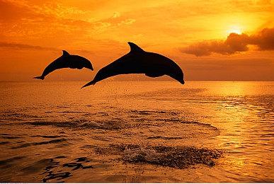 索尼谈《星鸣特攻》：其实这游戏不错 但没吸引到玩家