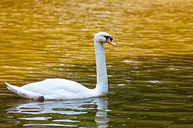 《极限竞速：地平线5》换上货拉拉涂装，成为墨西哥越野赛最酷的仔！